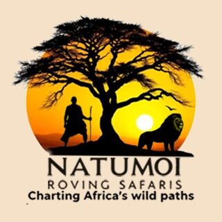 Instagram post from natumoi.roving.safaris. This post is in position 2.
